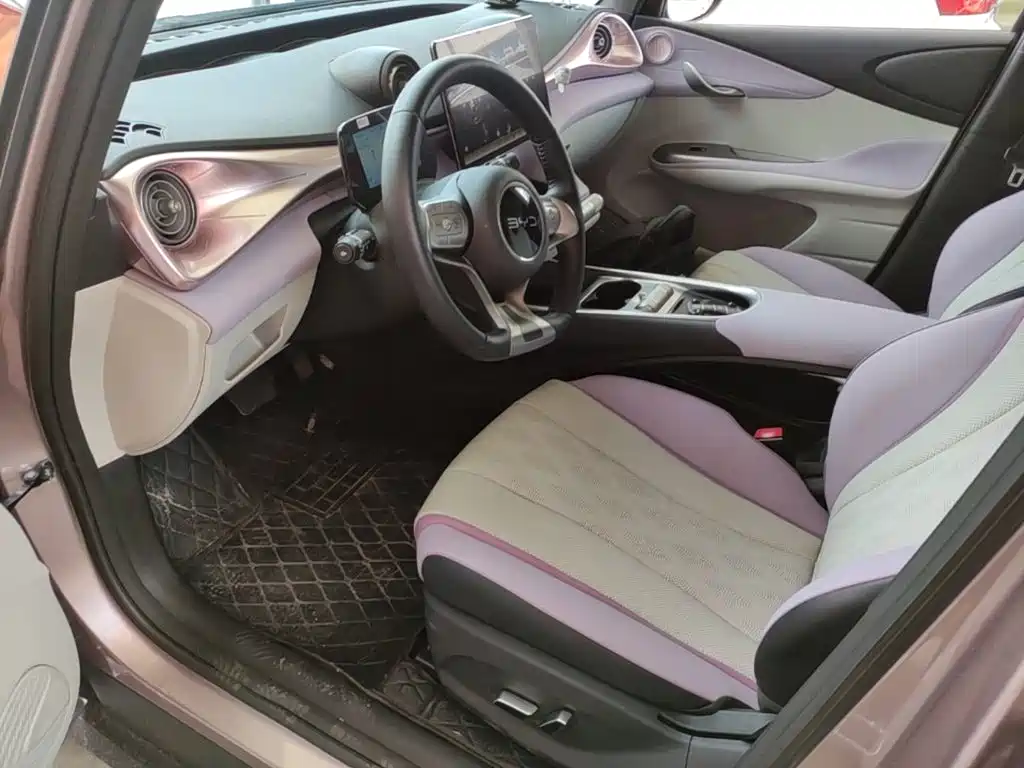 Photo 15 - BYD Dolphin