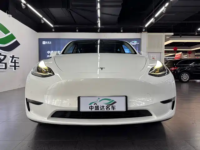 Tesla Model Y 2022 Long Range AWD — фото 2