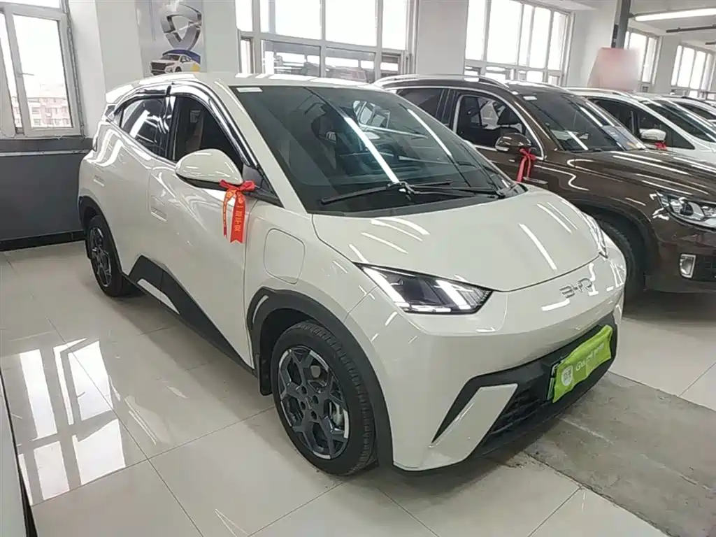 BYD Seagull 2025 305km Freedom фото 4