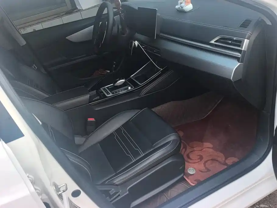 BYD Qin New Energy 2019 2019 Long Range Edition Premium