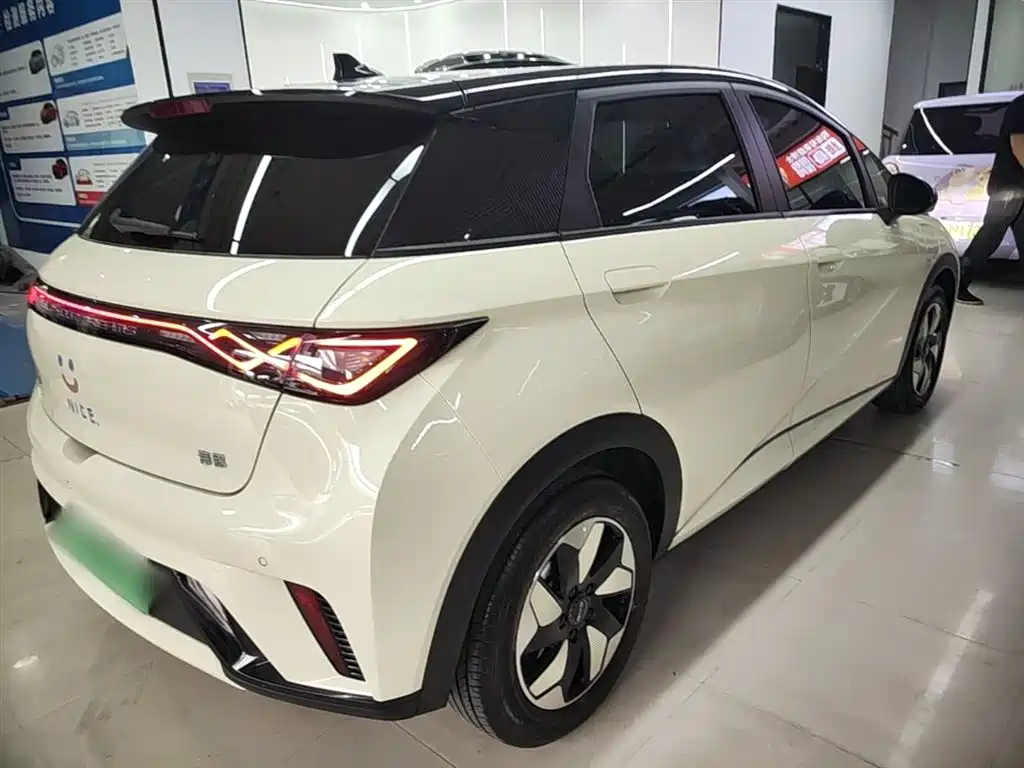 BYD Dolphin 2024 Glory Edition 420km Fashion Edition фото 7