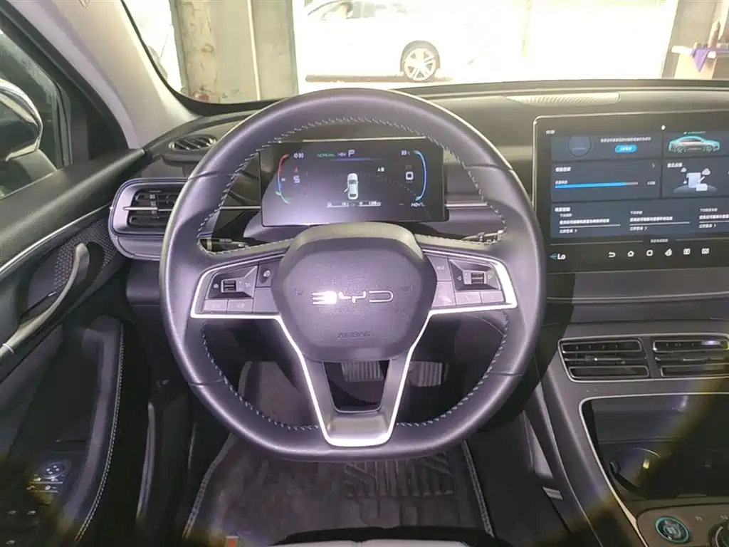 BYD Destroyer 05 2024 Glory Edition DM-i 55KM Luxury фото 11