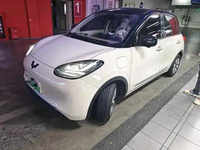Wuling Bingo