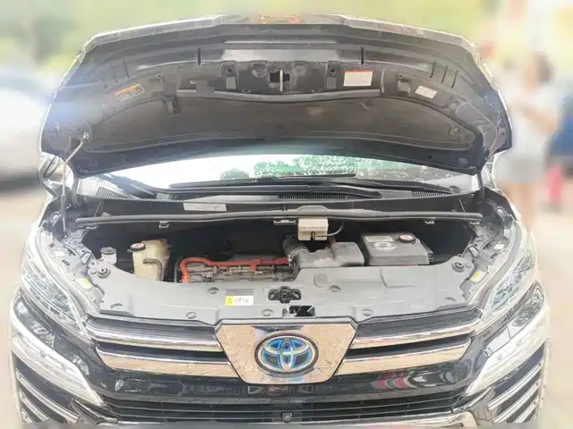 Toyota Vellfire 2020 Twin Engine 2.5L HV Luxury Edition — фото 3