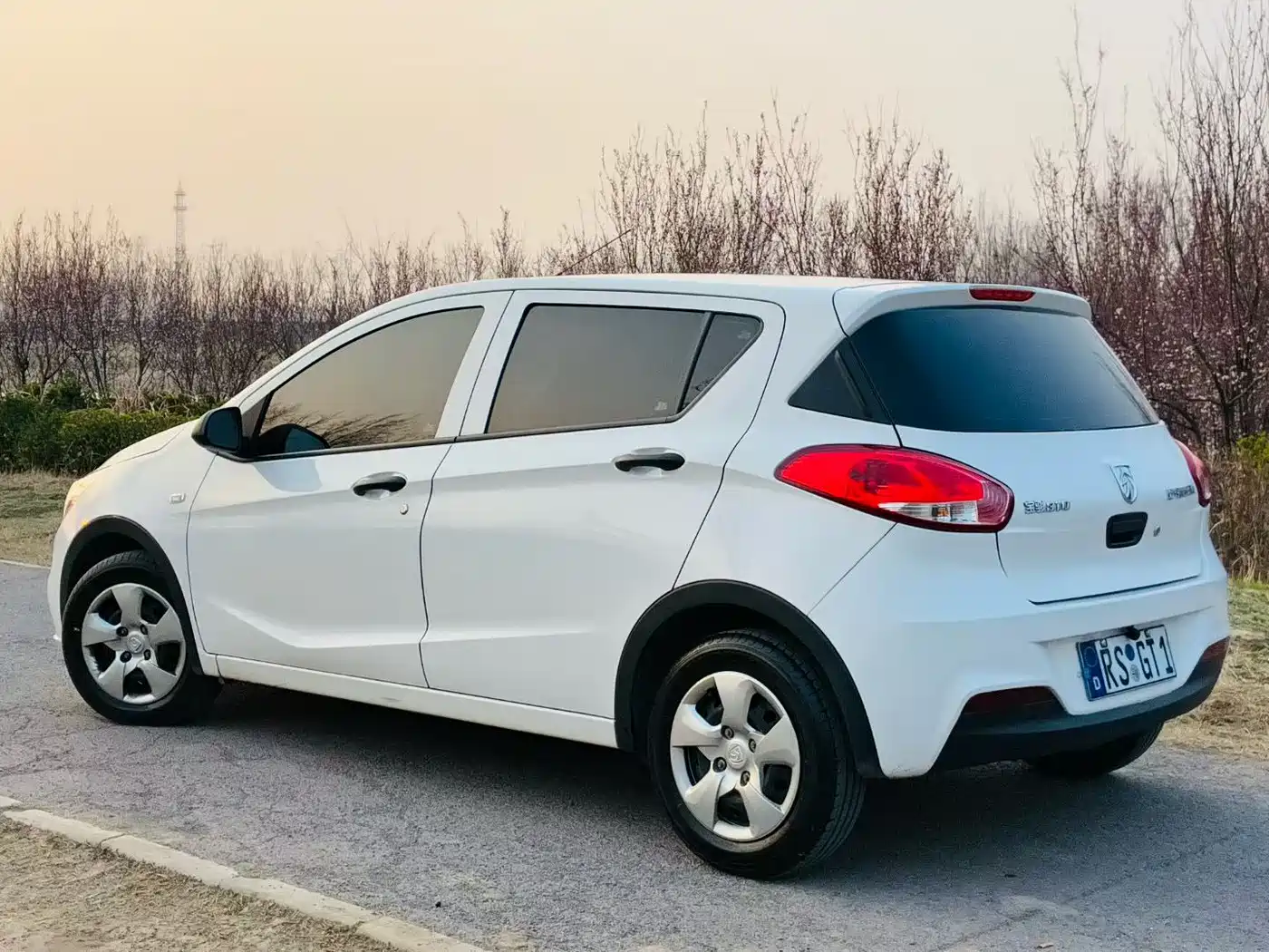 BAOJUN 310