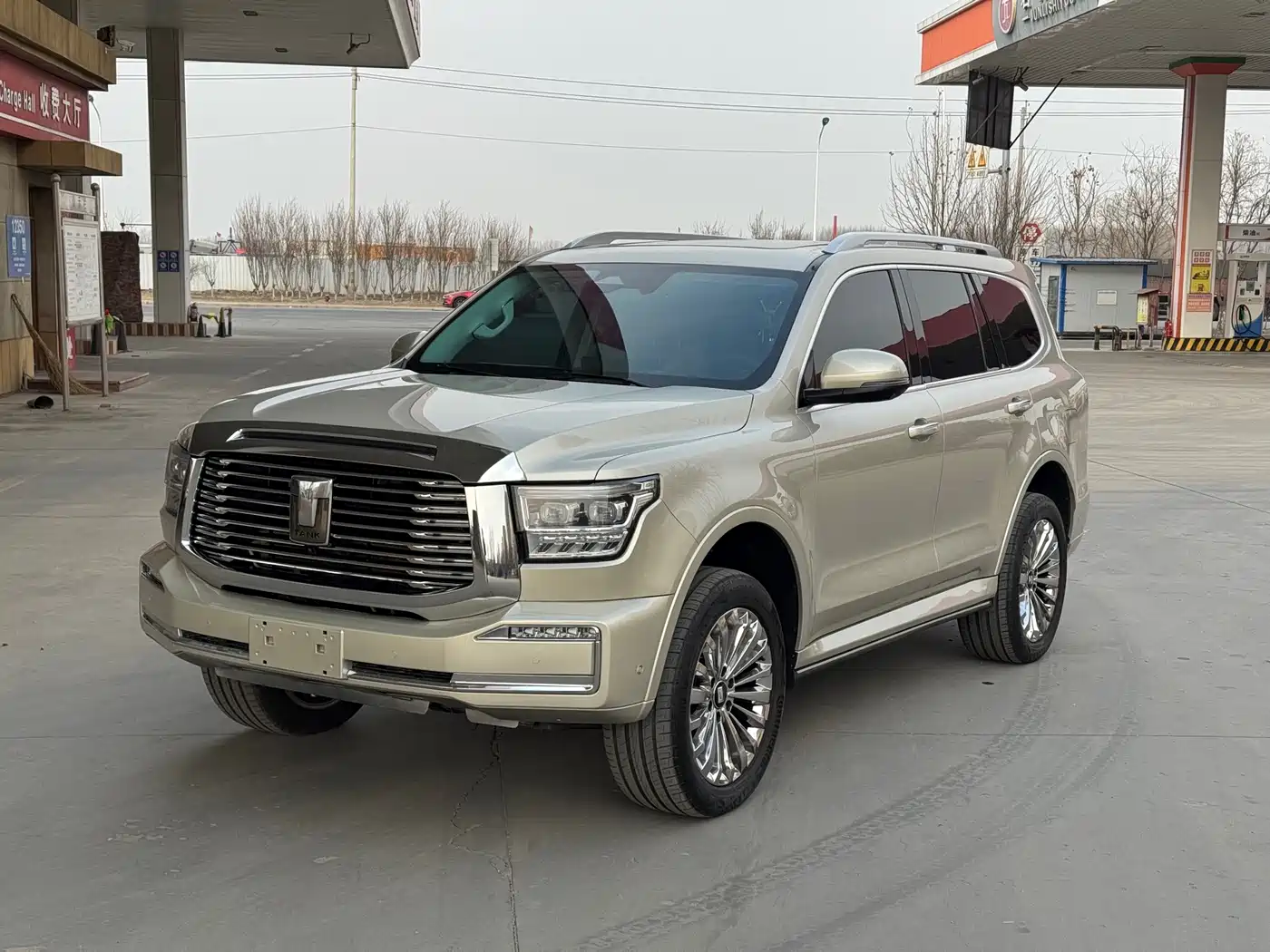 Tank 500 2022 3.0T Business Edition Dengfeng 5-Seater