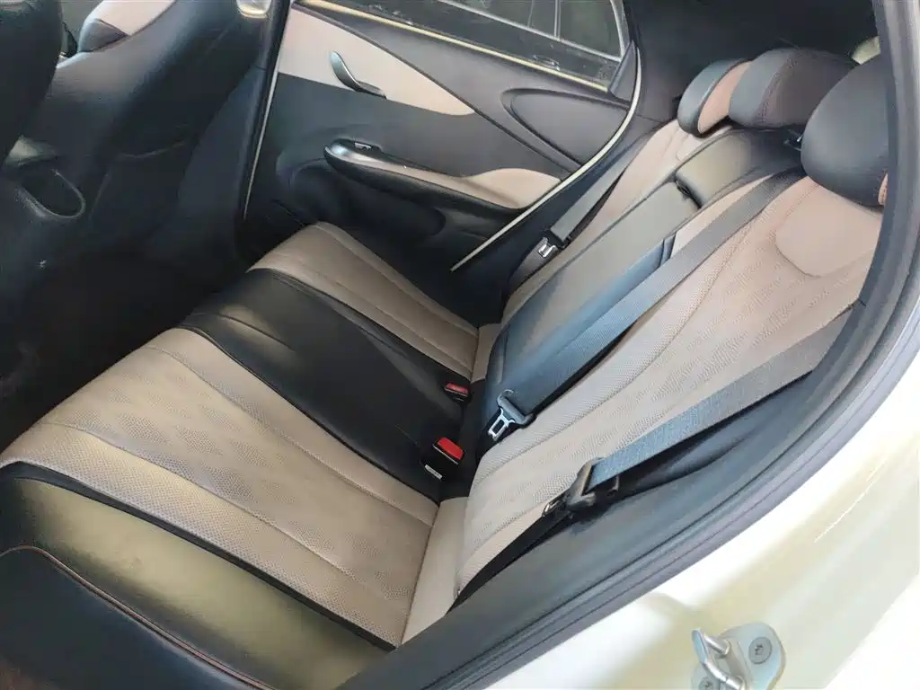 BYD Dolphin 2023 420km Fashion Edition фото 17