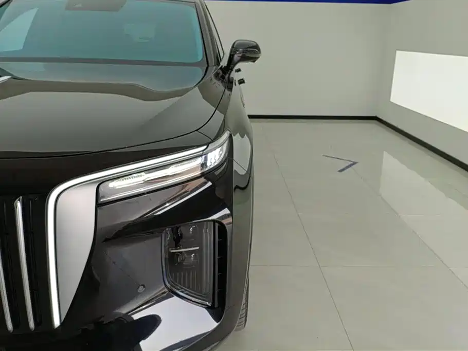 Hongqi E-HS9 2021 460km Flagship Comfort 6-seater фото 5