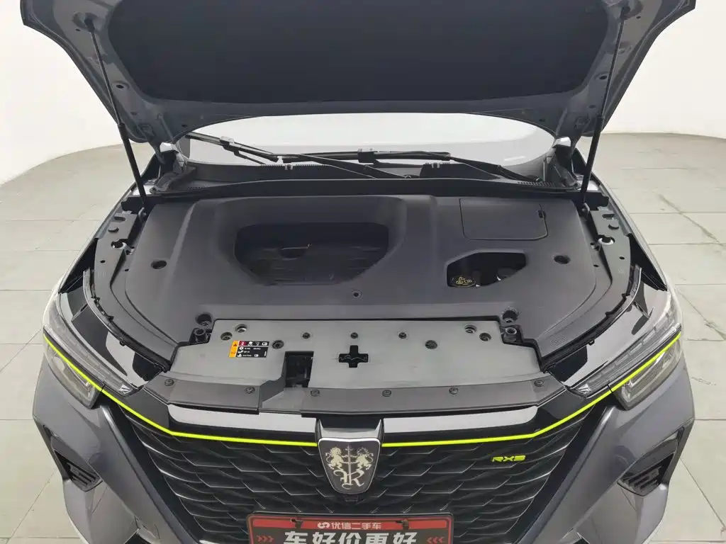 Фото 6 - Roewe RX5