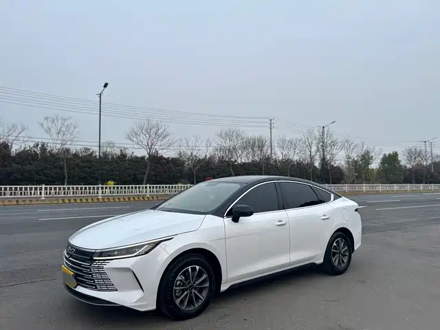 BYD DESTROYER 05