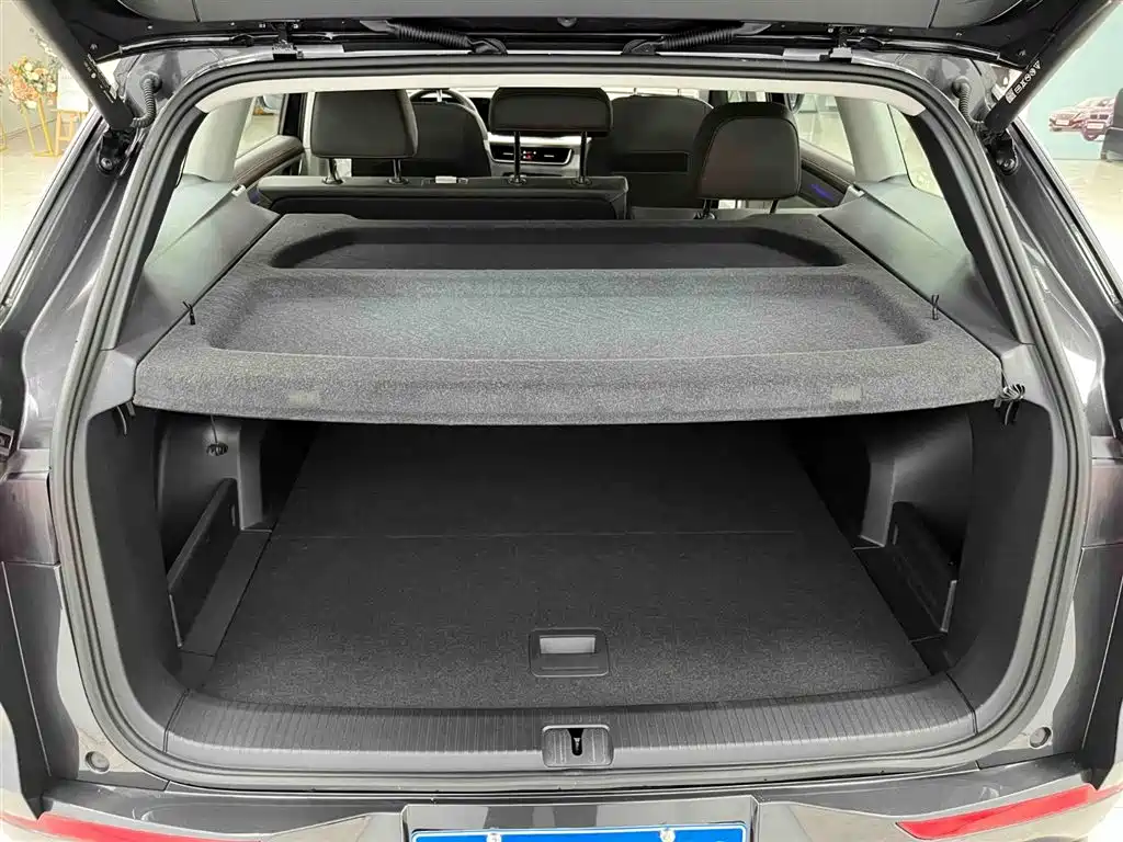 Volkswagen Talagon 2023 380TSI 4WD R-Line Touring Edition фото 17