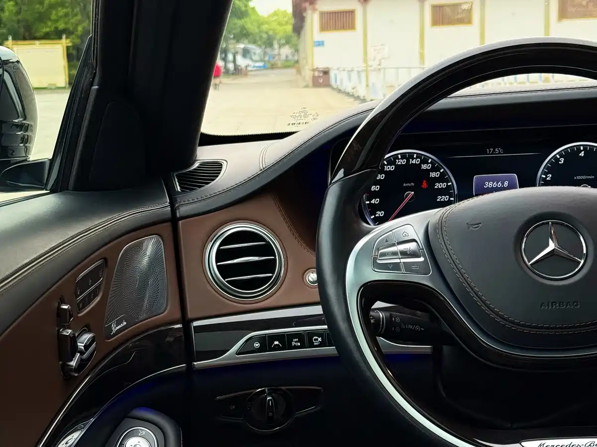 Mercedes-Benz S-Class 2014 S 600 L фото 31