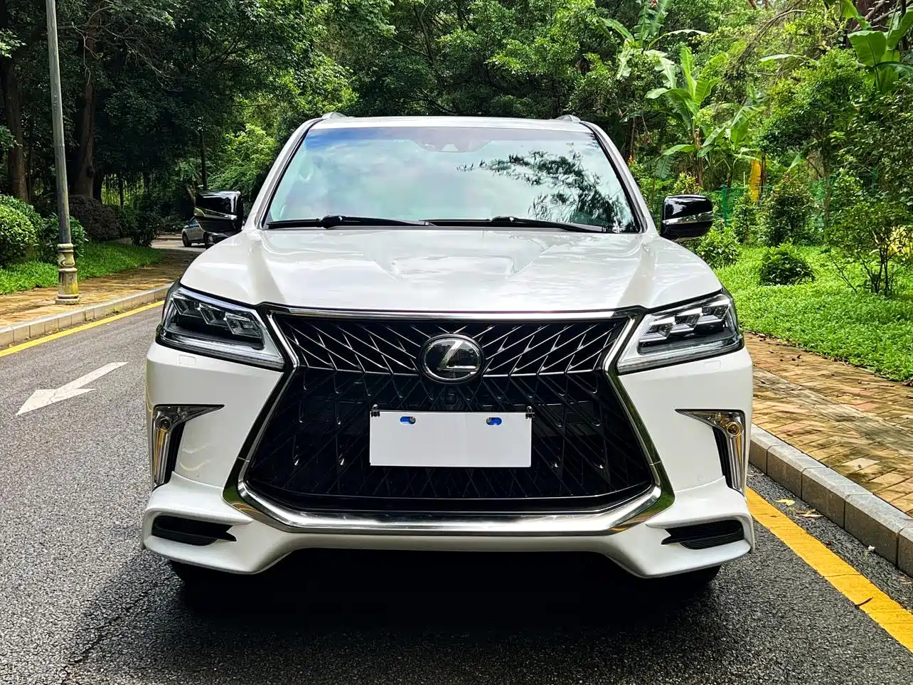 Lexus LX 2019 570 Peak Special Edition фото 2