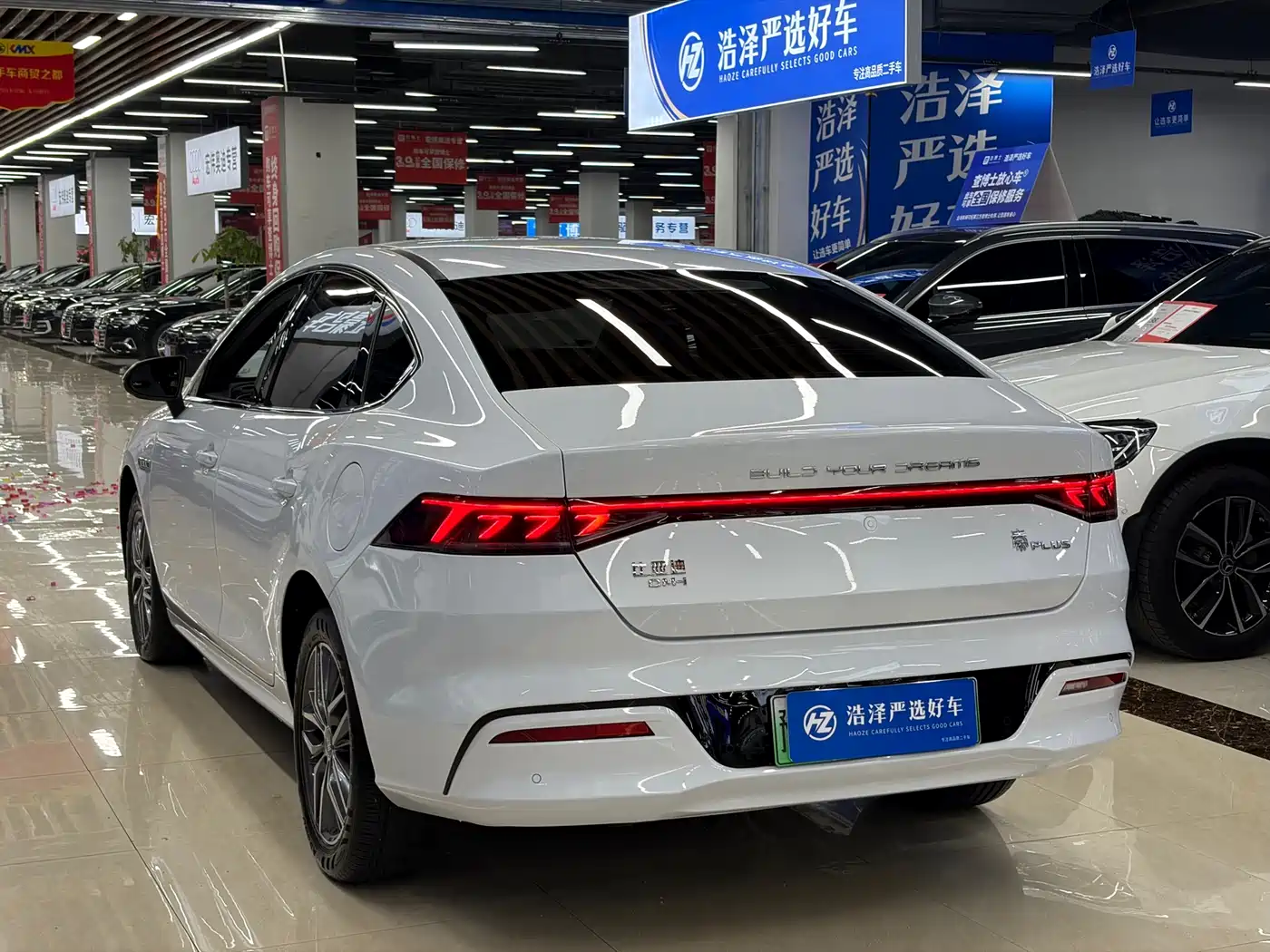 BYD Qin PLUS 2024 Glory Edition DM-i 120KM Surpass фото 4