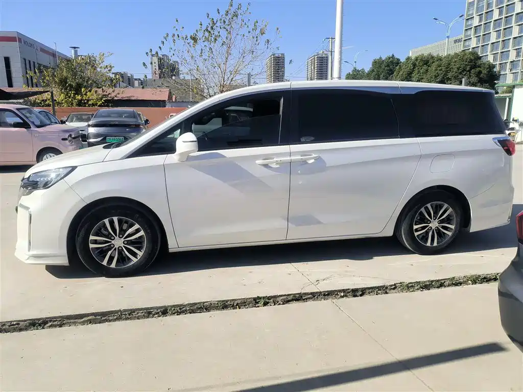 Buick GL8 2021 ES Landlord 653T Premium фото 4