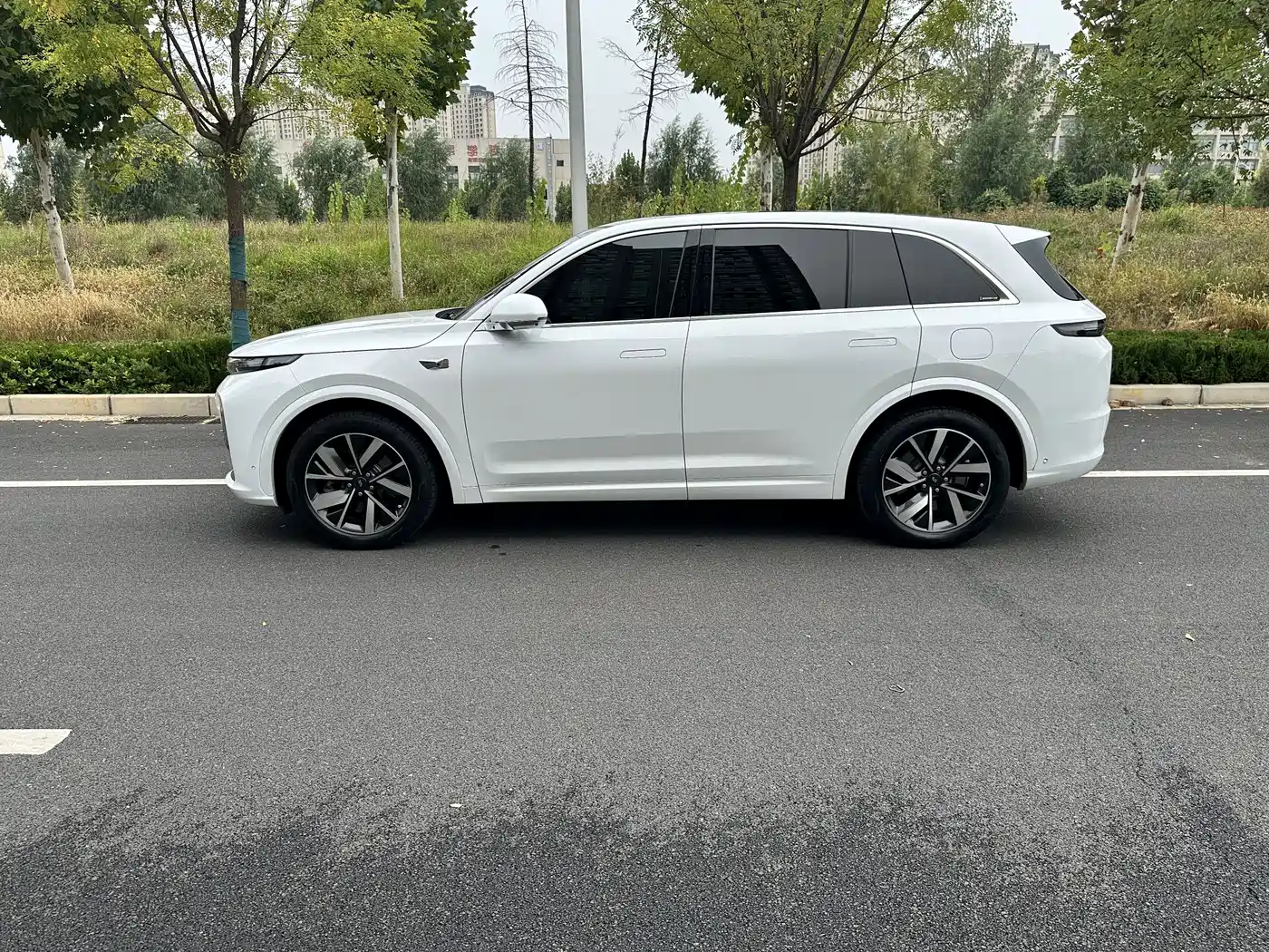 Li Auto L7 2023 2023 Pro