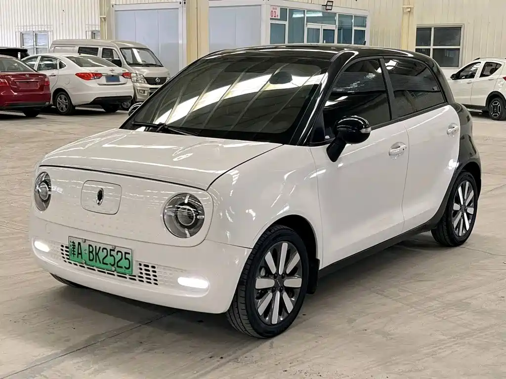 Ora Black Cat 2021 2021 351km Standard Model