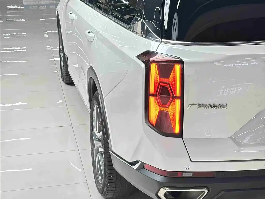 GAC Trumpchi Trumpchi GS8 2022 Pilot Series 2.0TGDI 2WD Luxury Smart Connect Edition (7-Seater) фото 30