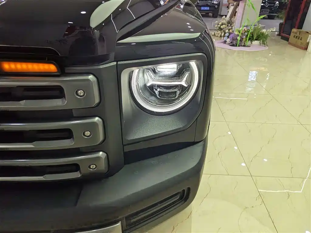 HAVAL RAPTORS NEW ENERGY