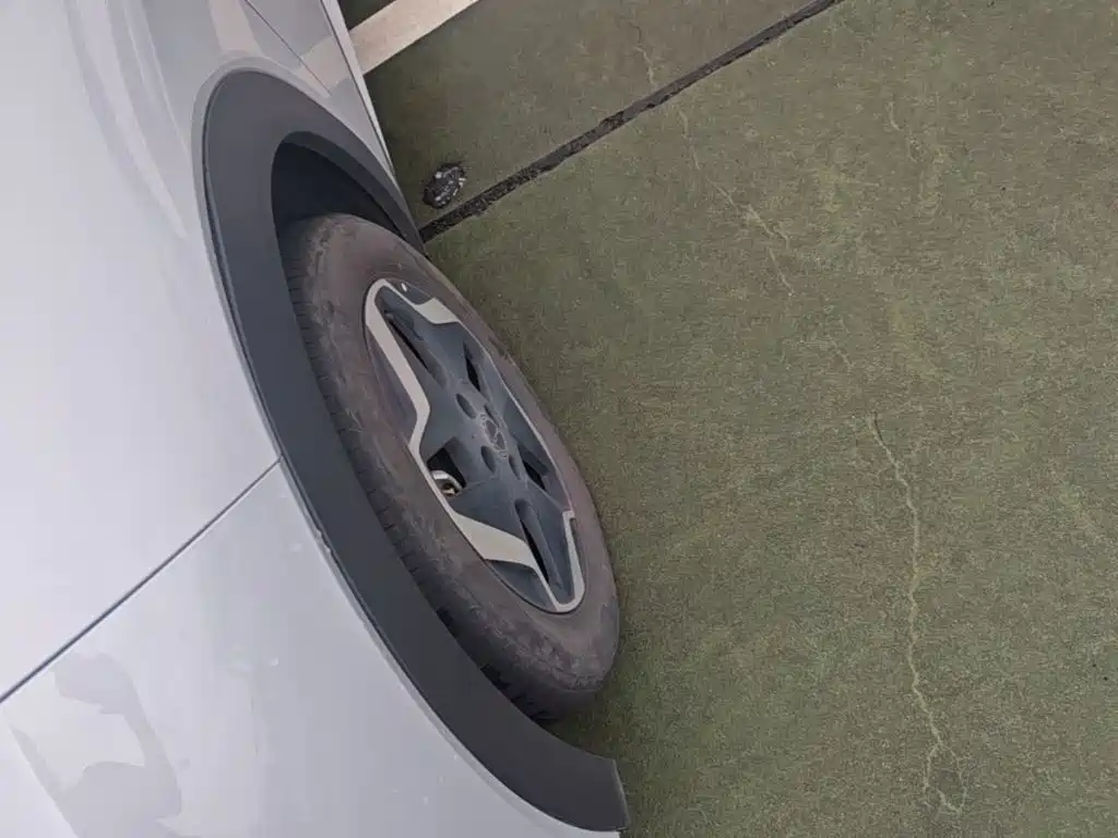 BYD Dolphin 2022 2021 405km Freedom Edition