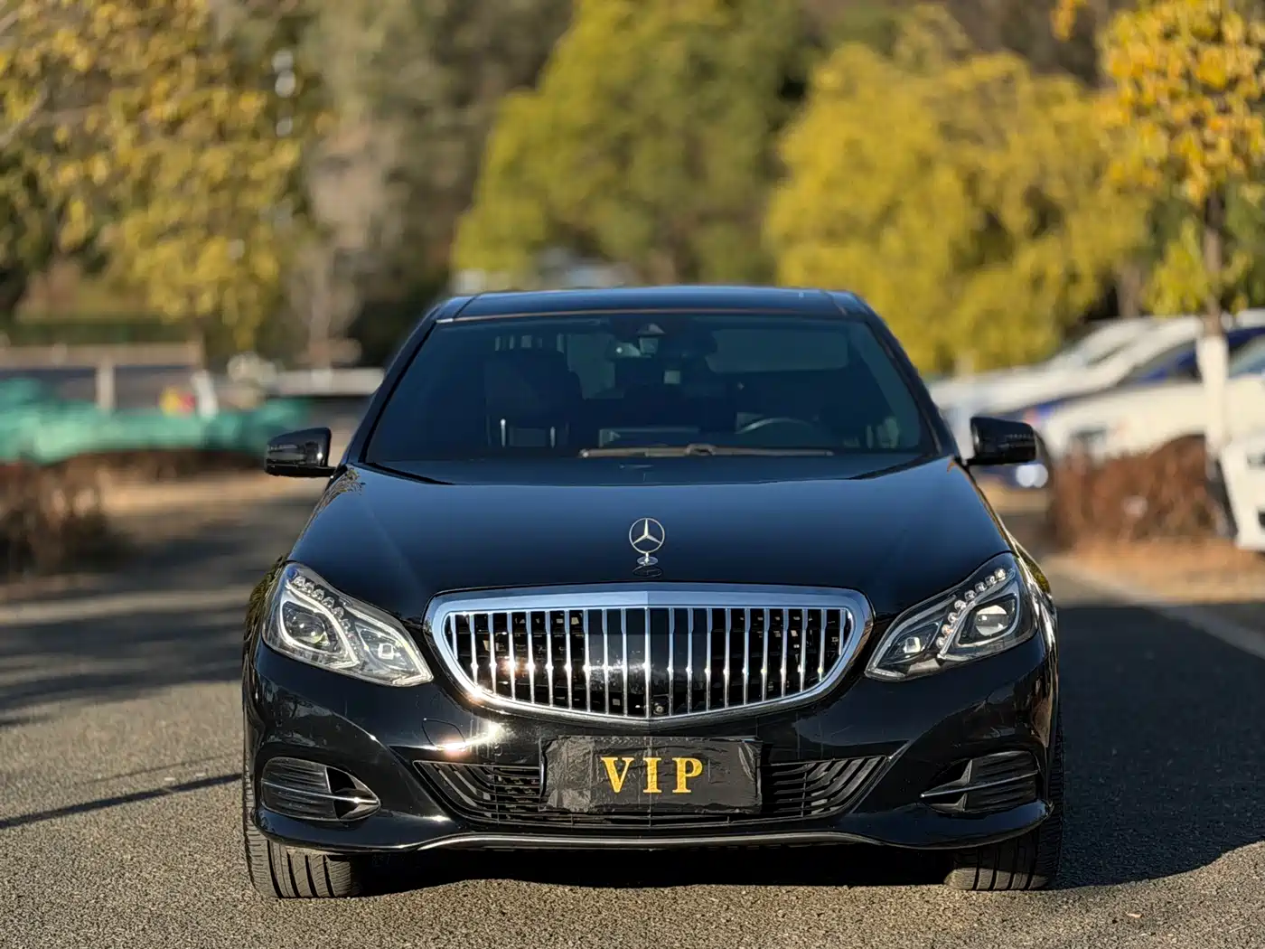 Mercedes-Benz E-Class 2015 E 320 L Luxury 4MATIC фото 2