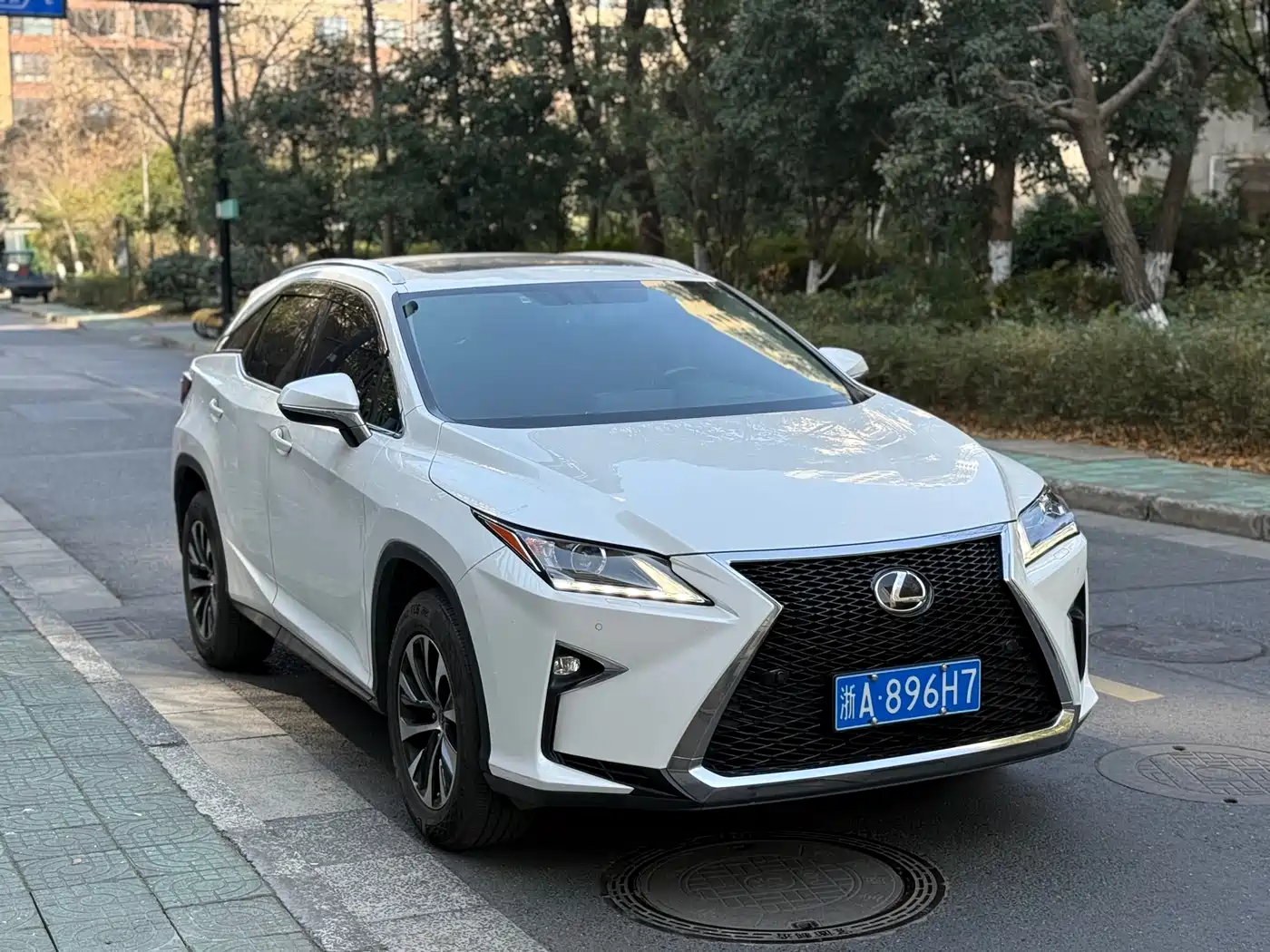 LEXUS RX