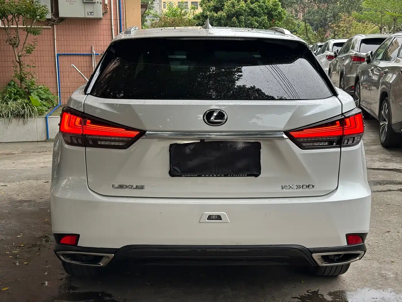 LEXUS RX