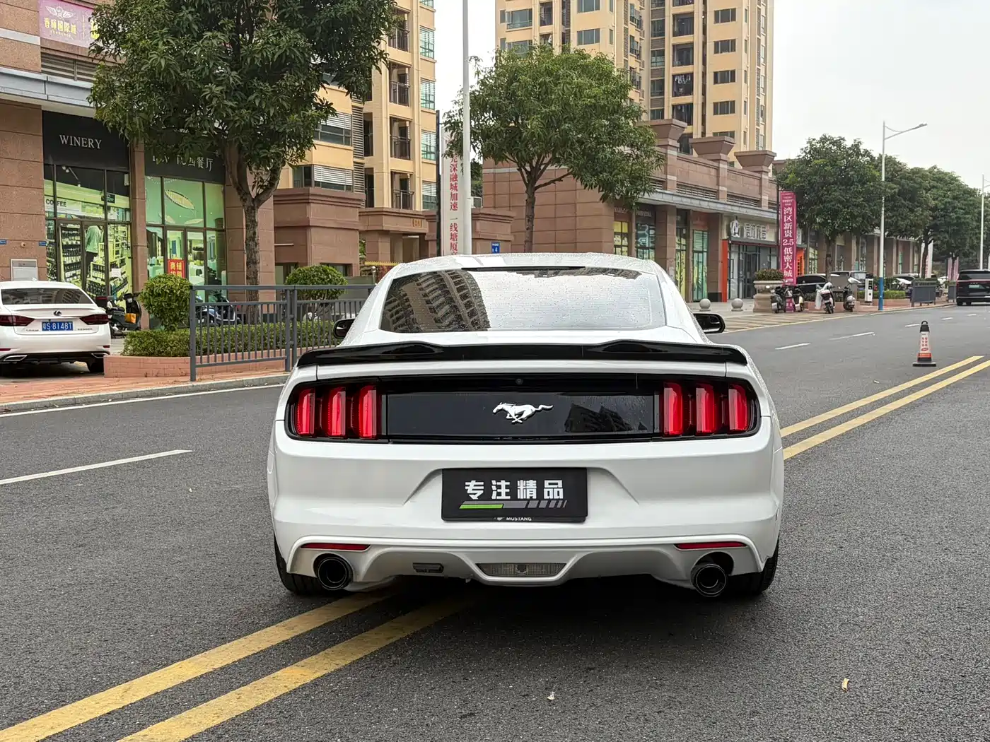 Ford Mustang 2016 2017 2.3T Performance Edition