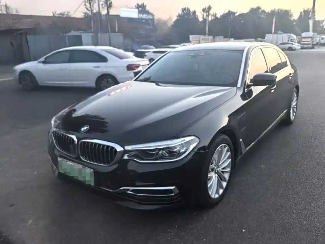 BMW 5 Series New Energy 2020