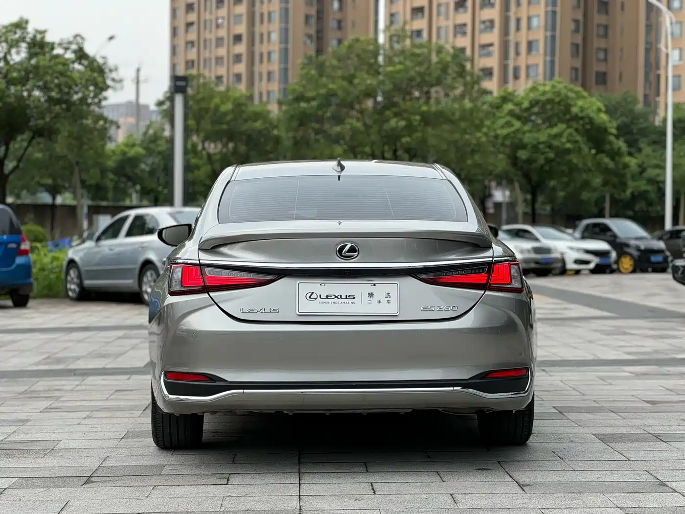 Lexus ES 2021 260 Excellence Edition фото 5