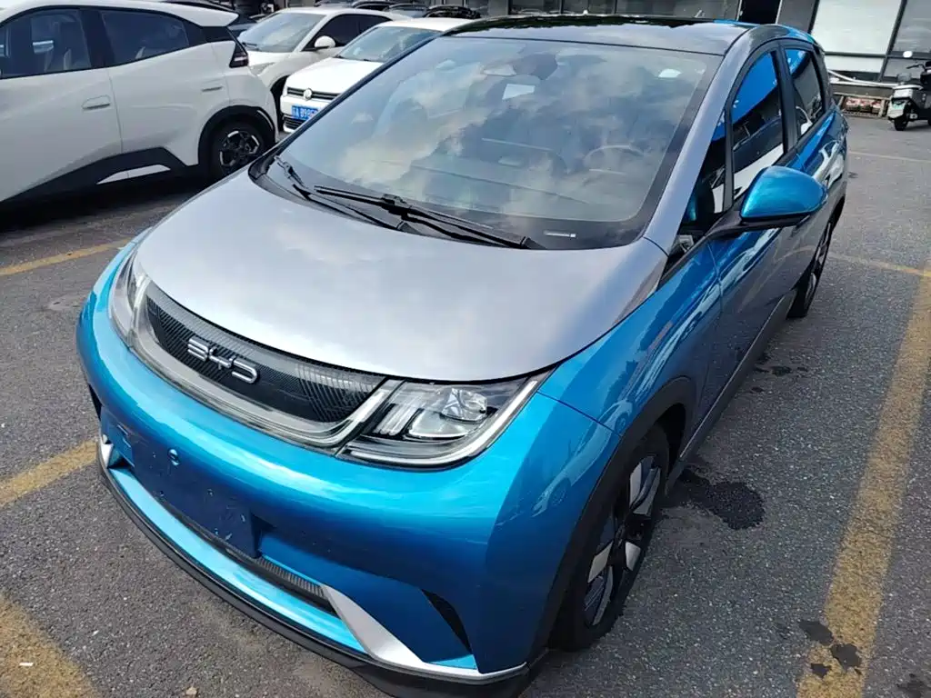 BYD Dolphin 2021