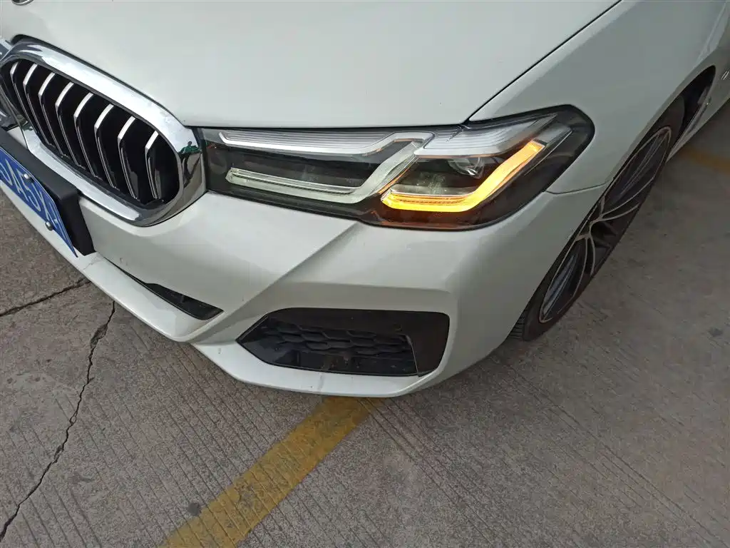 BMW 5 Series 2021 530Li xDrive M Sport Package фото 18