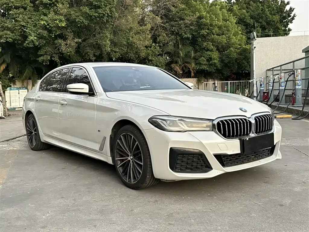 BMW 5 Series 2021 530Li xDrive M Sport Package фото 25