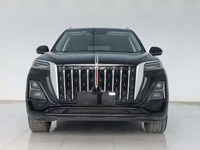 Hongqi HS5 2023 2.0T Flag Enjoy Pro Edition фото 2