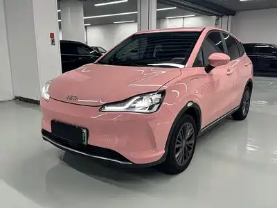 Neta V