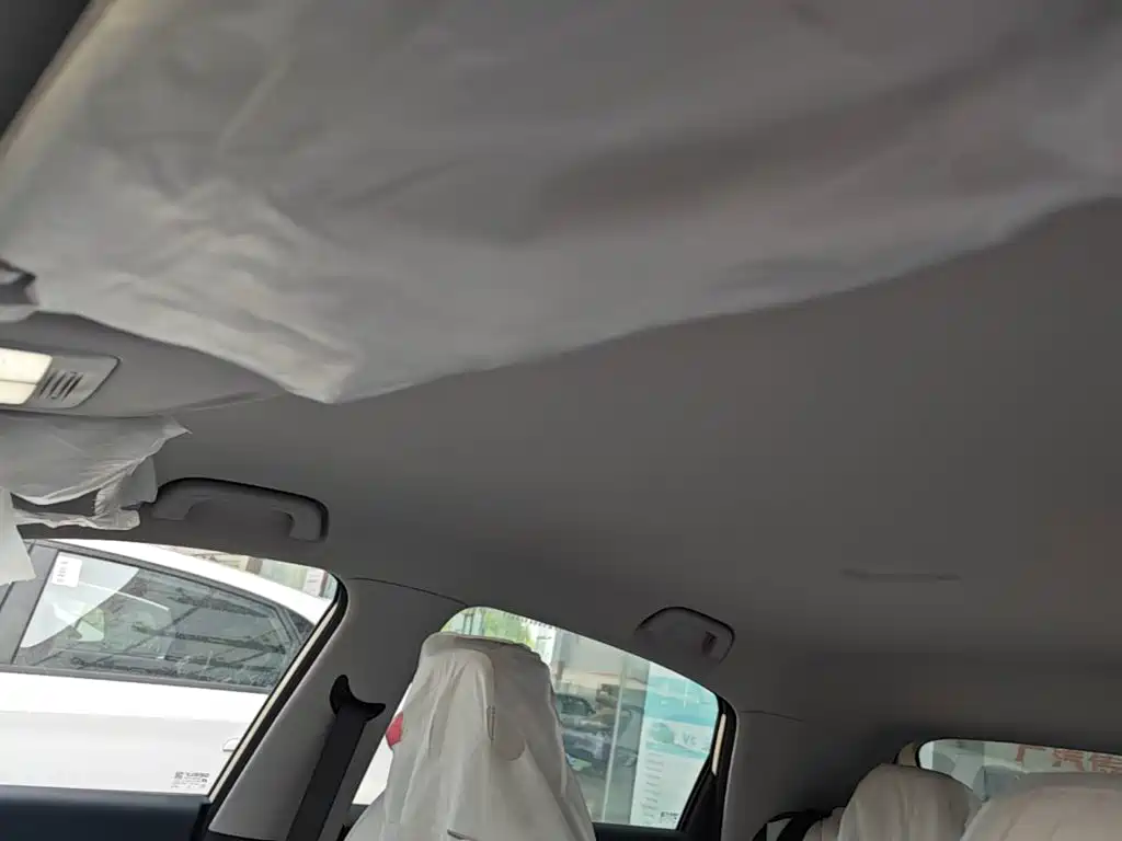 Geely Galaxy Starry Wish 2026 2026 Edition 310km Youth Version