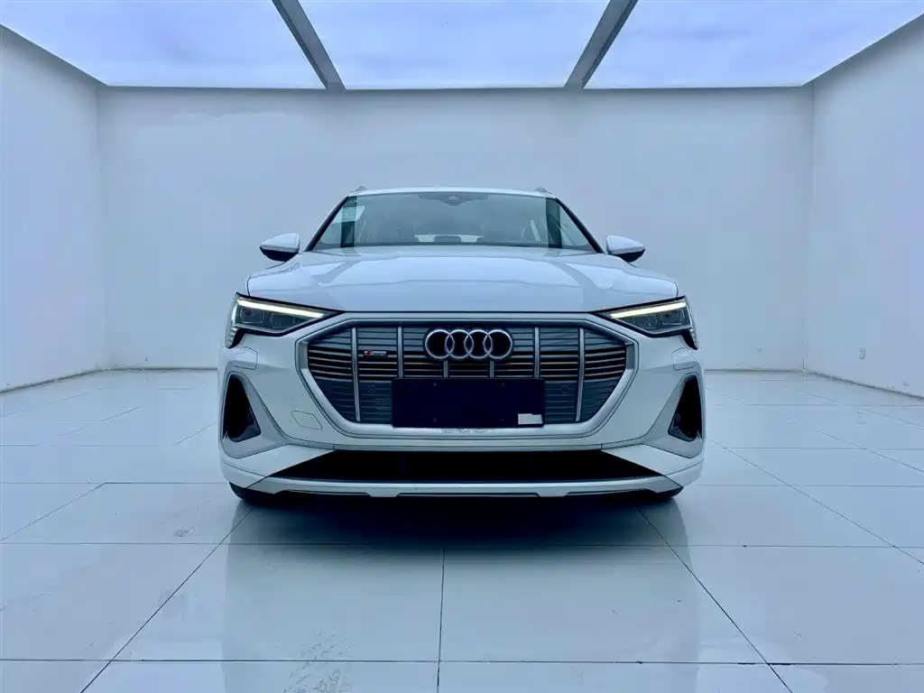 Audi e-tron 2021 50 quattro Luxury фото 2