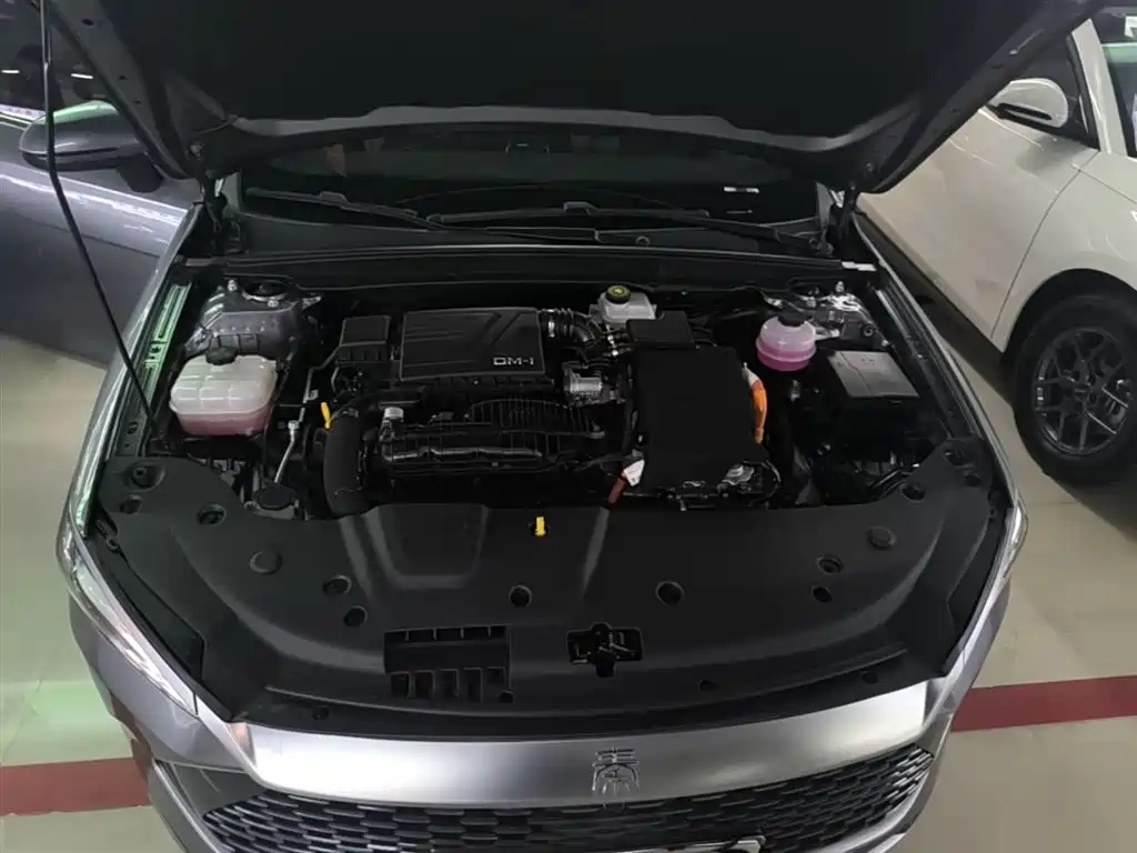 BYD Qin PLUS 2024 Glory Edition DM-i 120KM Leading фото 20