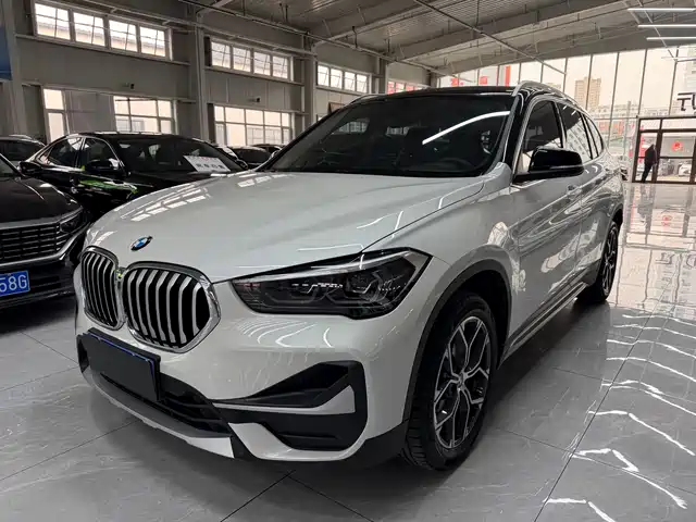 BMW X1 sDrive20Li, Стиль