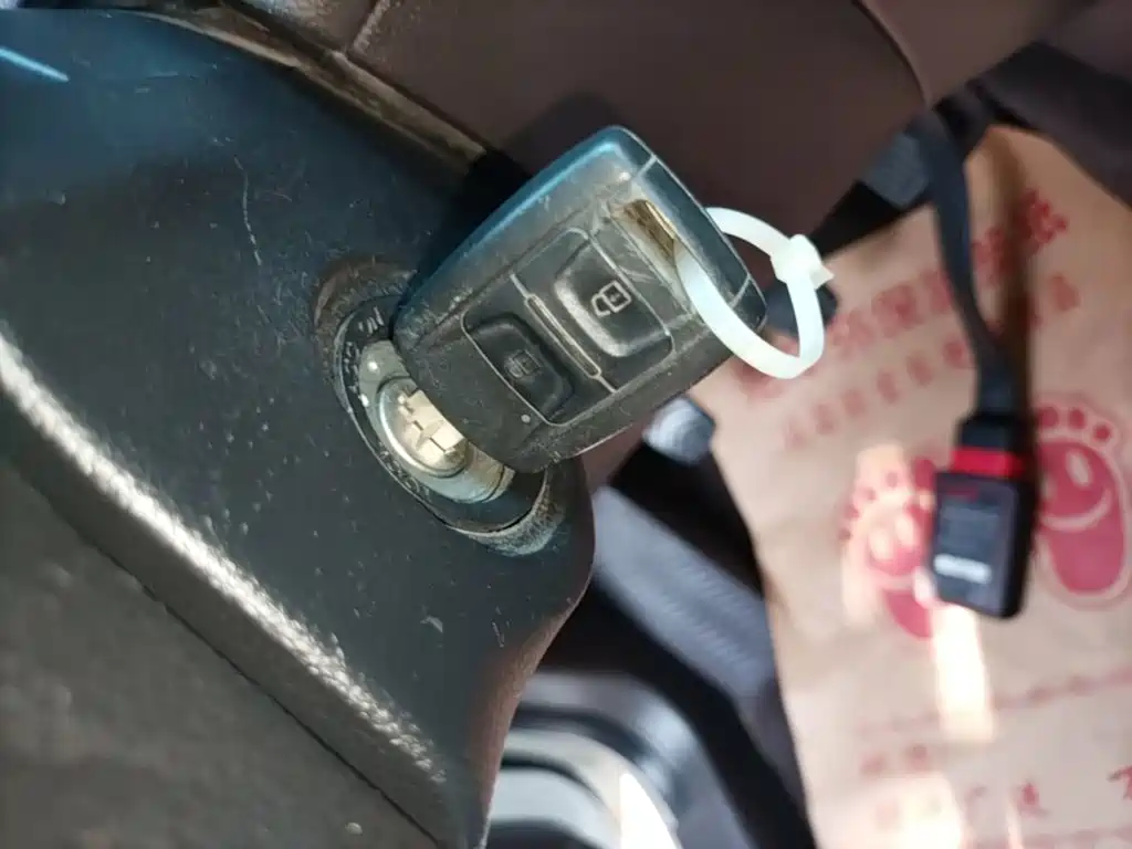 Wuling Motors Wuling Hongguang V 2024 2022 1.5L Power Enjoy Edition Electric Power Steering LAR
