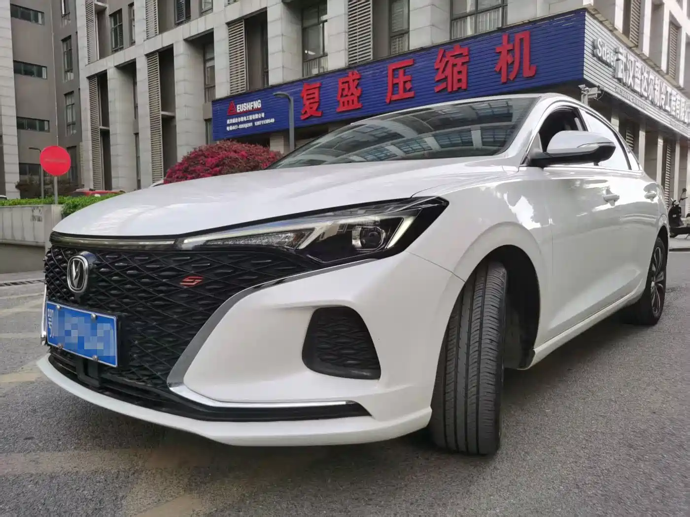 Фото 2 - Changan Eado