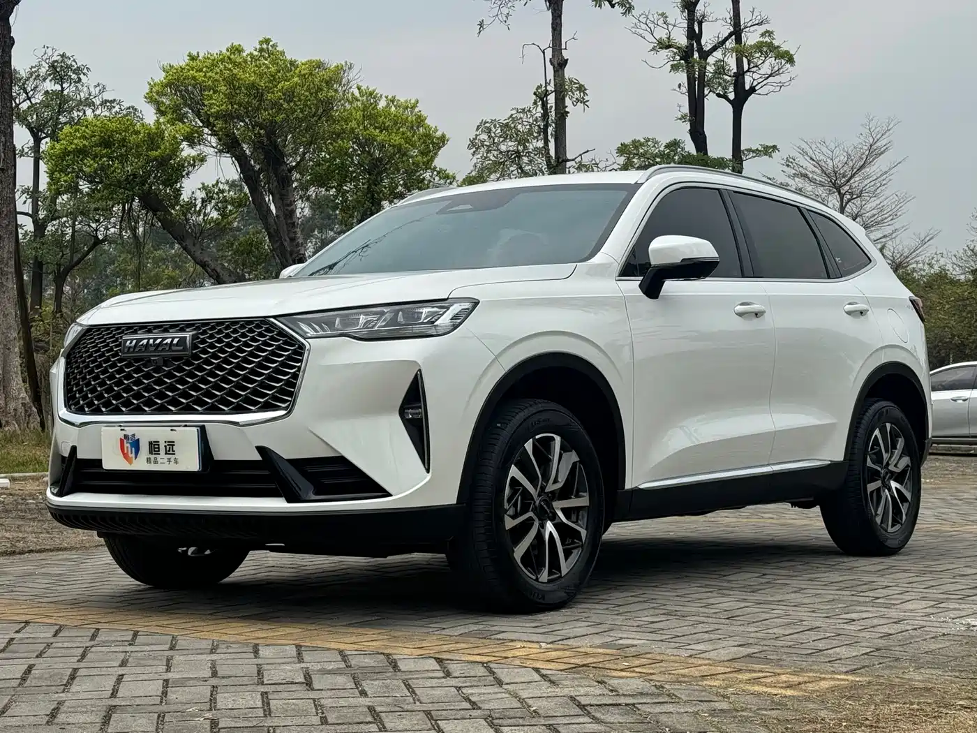 Haval H6 2022 3rd Gen 1.5T Auto 2WD Max