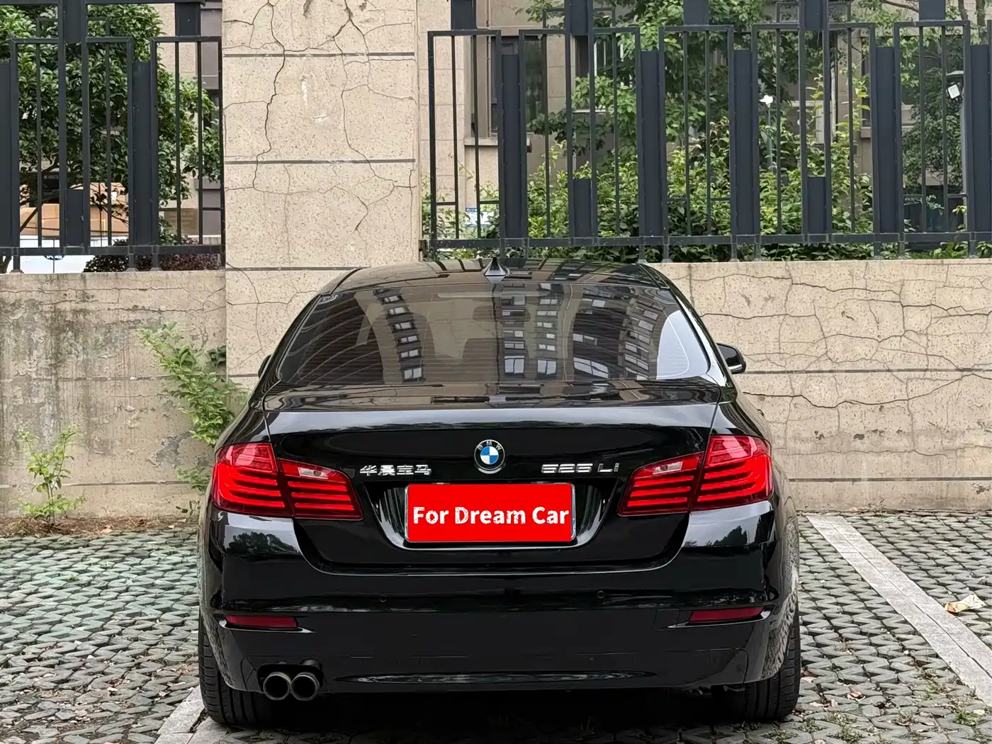 BMW 5 Series 2014 525Li Leading фото 5