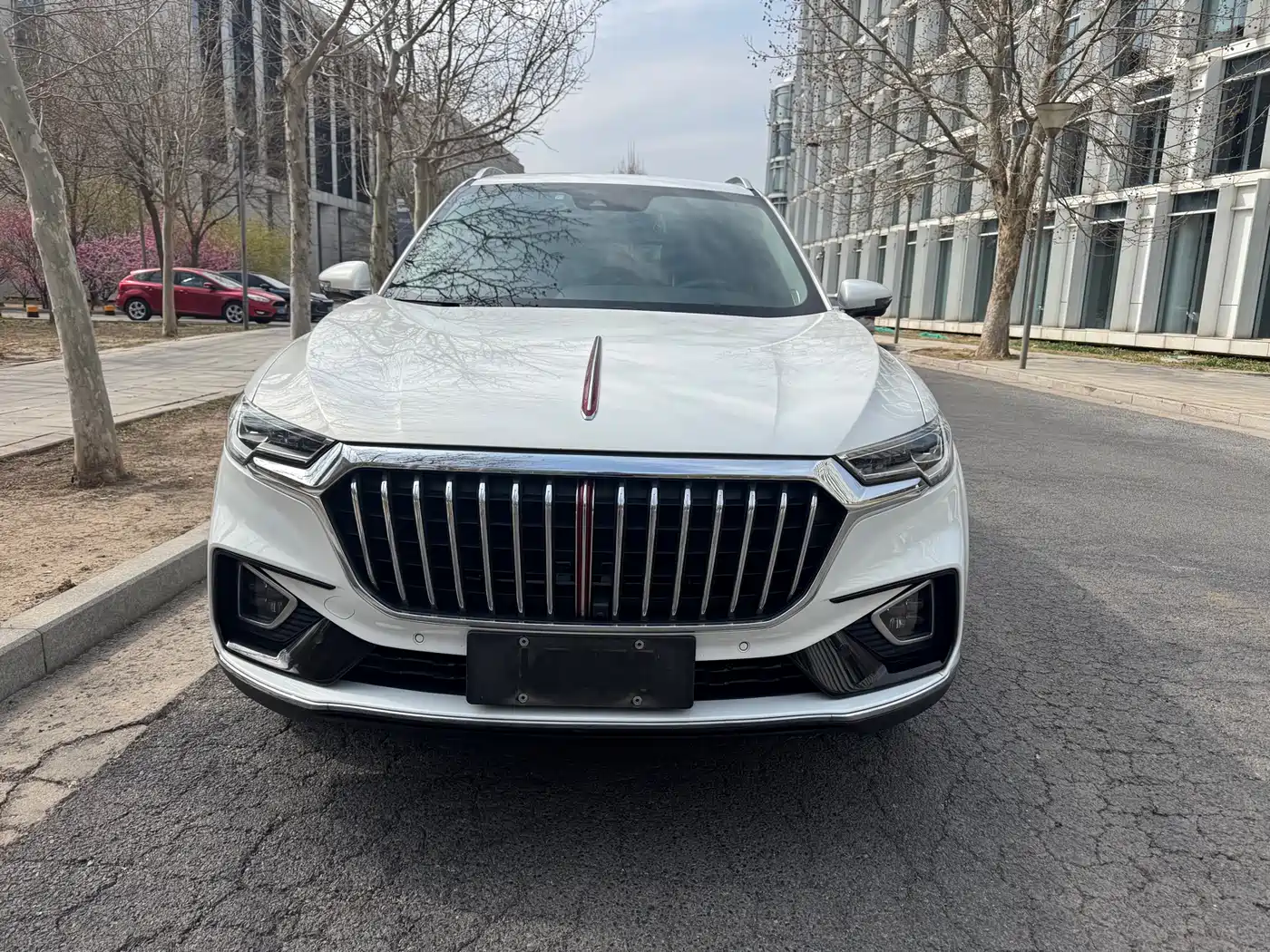 Hongqi HS5 2019 2.0T Smart Connect Enjoy Edition фото 2
