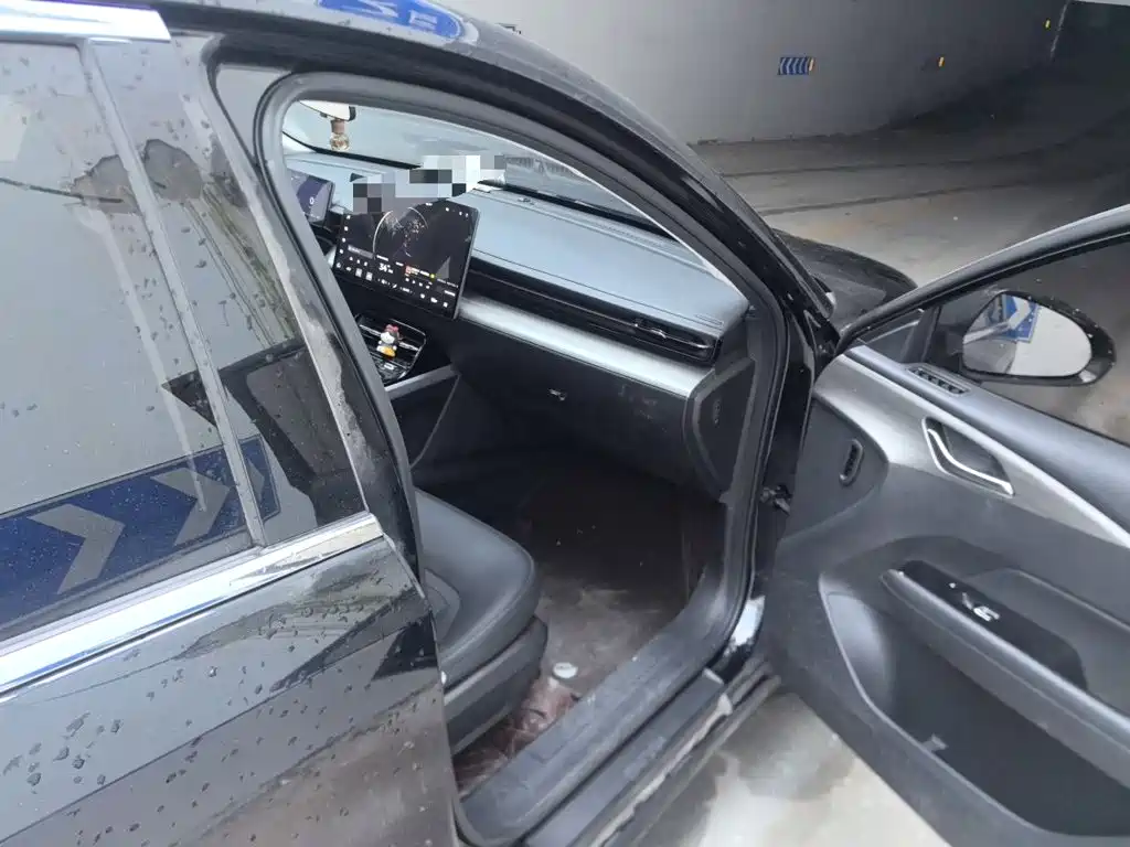Wuling Motors Wuling Xingguang 2024 2024 Co-Creation Edition 150 Pilot