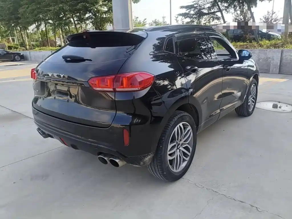 WEY VV5 2017 2017 2.0T Super Luxury Model