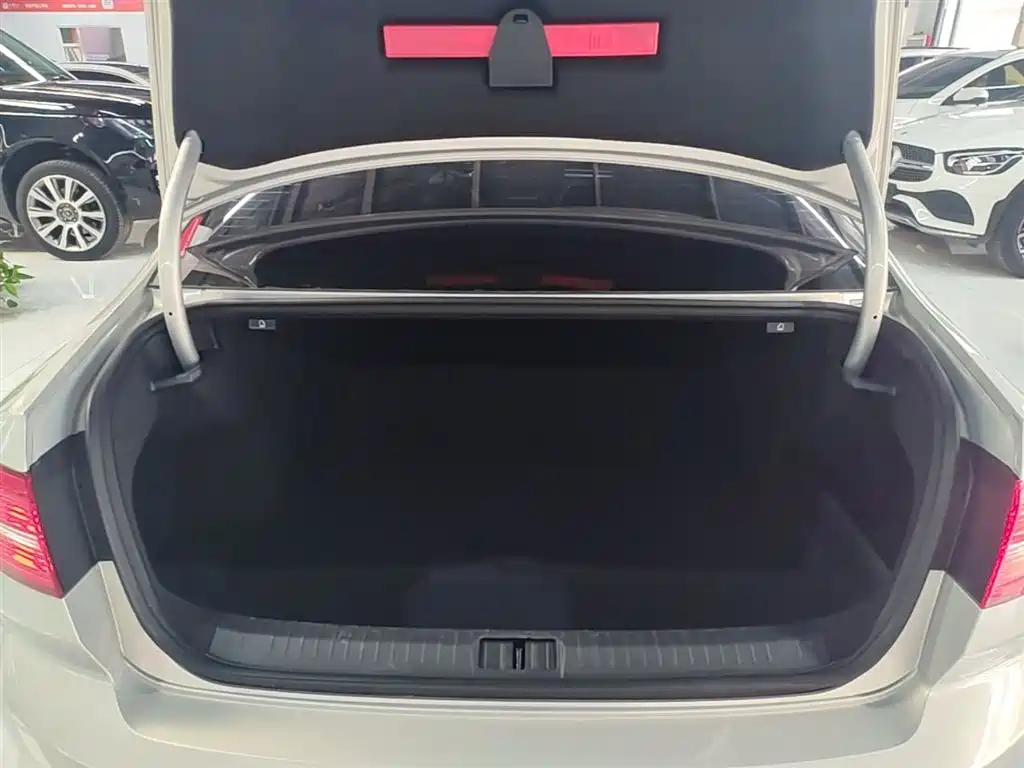 Volkswagen Magotan 2017 330TSI DSG Luxury фото 19