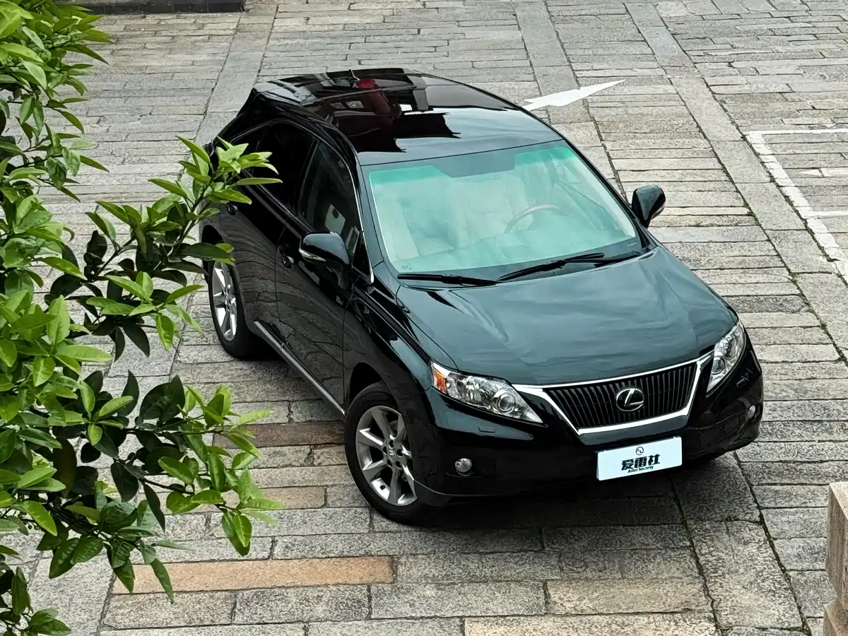 Lexus RX Classic 2009 Model 350 Premium Edition фото 15