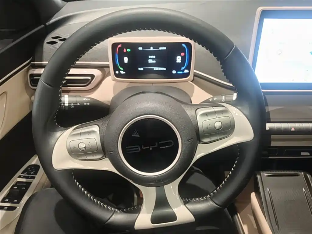 BYD Seagull 2024 Glory Edition 305km Freedom Edition фото 11