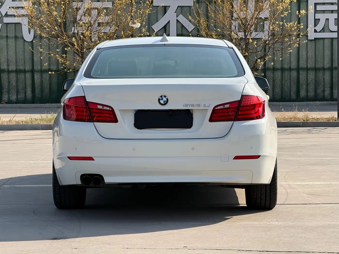 BMW 5 Series 2012 523Li Luxury фото 6